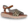 fluchos - dorking - d9463