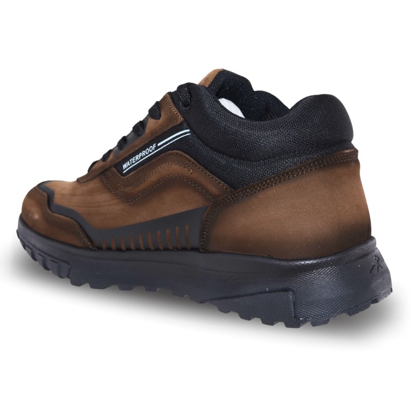 fluchos - arion - f1840