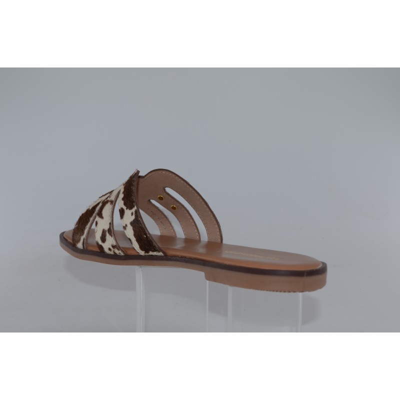 hamigapo - tropeziennes