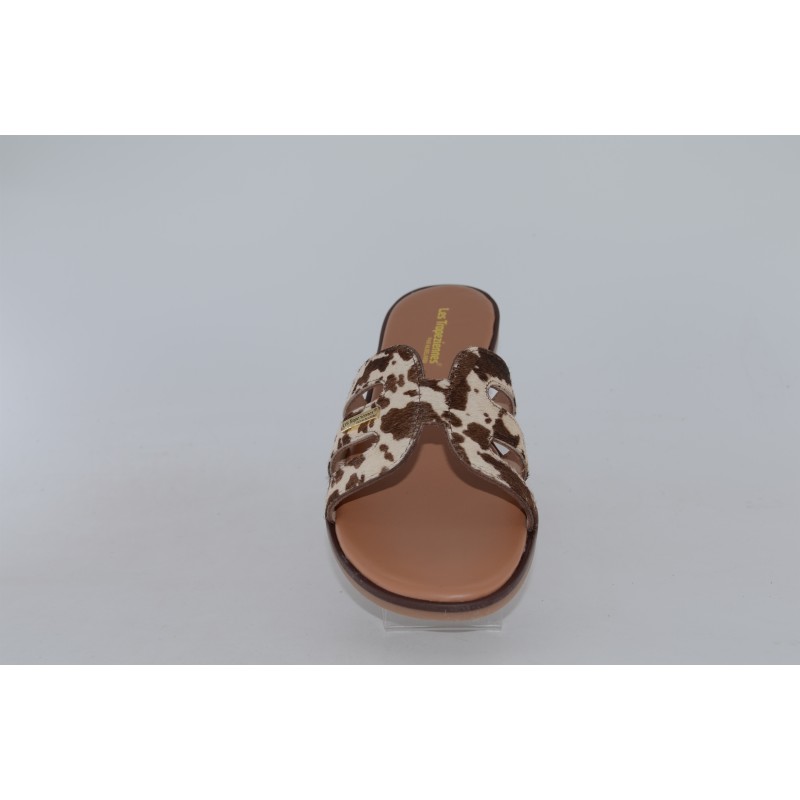 hamigapo - tropeziennes