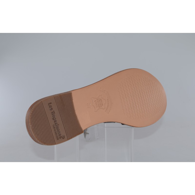 damia - tropeziennes