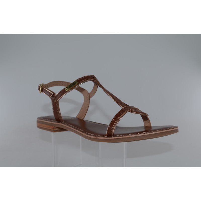 hamatrio - tropeziennes