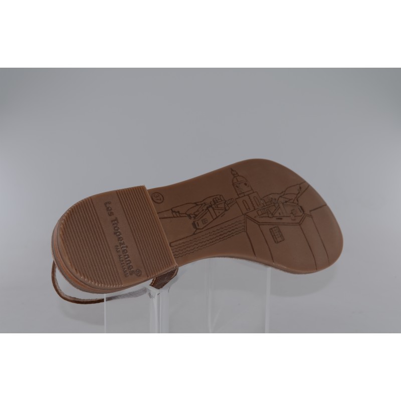 hamatrio - tropeziennes