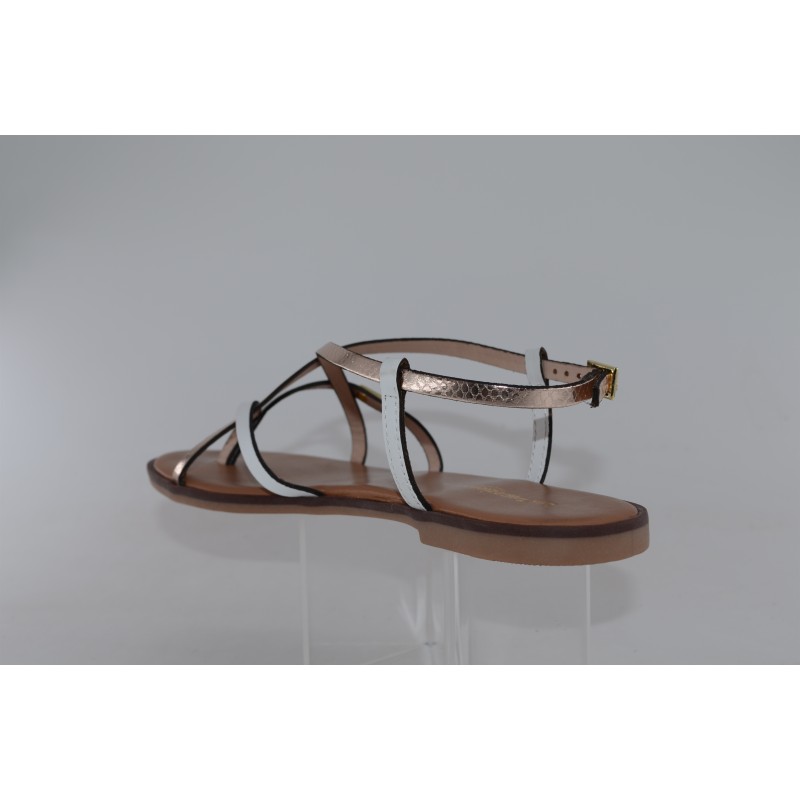 monagum - tropeziennes