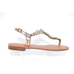 hofleur - tropeziennes