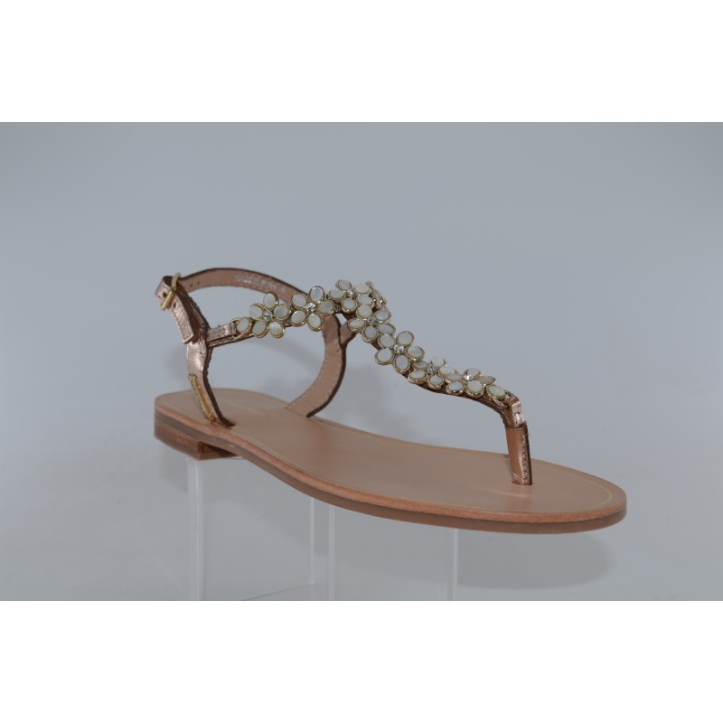 hofleur - tropeziennes