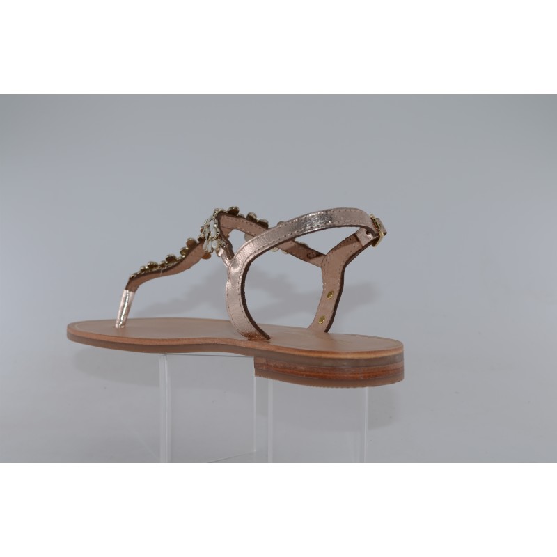 hofleur - tropeziennes