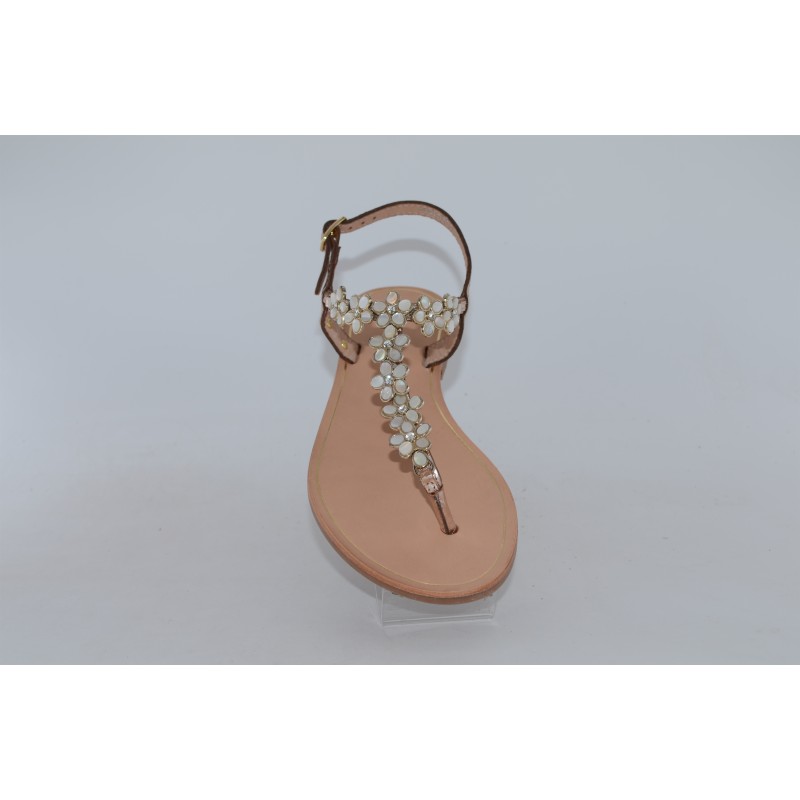 hofleur - tropeziennes